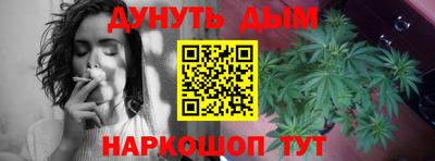 сатива Заволжье