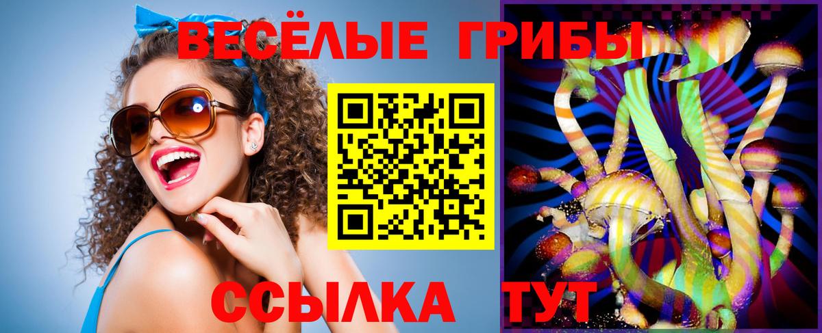 Галлюциногенные грибы мухоморы  Галлюциногенные грибы прущие грибы  Михайловск  цена наркотик  Вход с VPN 