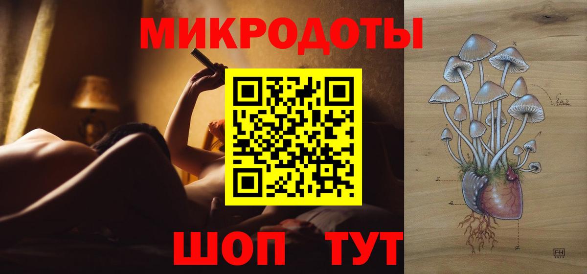 Псилоцибиновые грибы Cubensis Михайловск